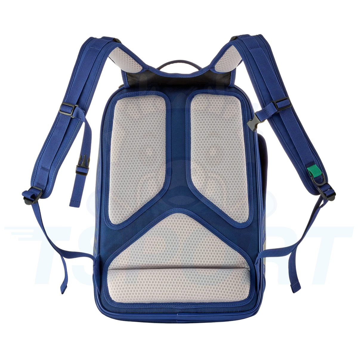 Yonex x Viktor Axelsen Expert Backpack BA02612V
